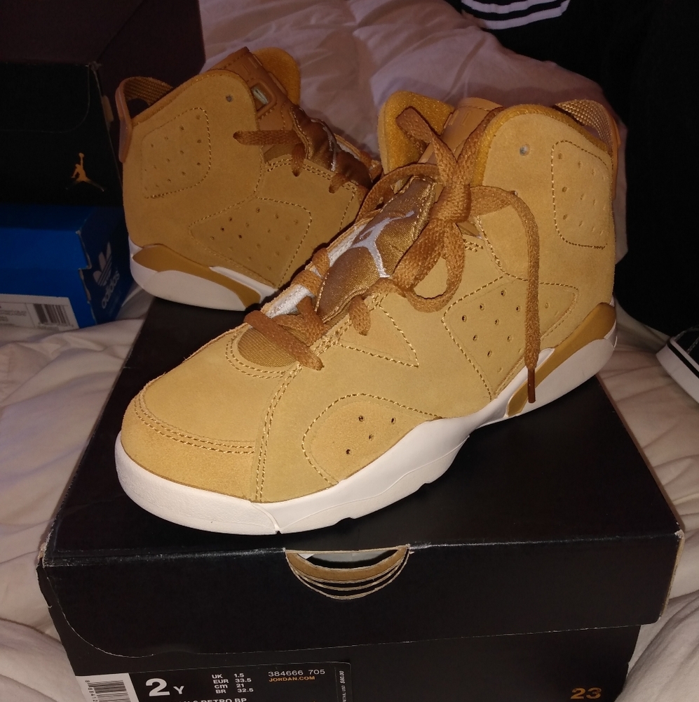 Nike Air Jordan Retro 6